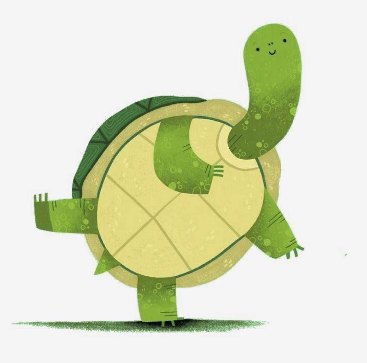 Turtle Meme 5