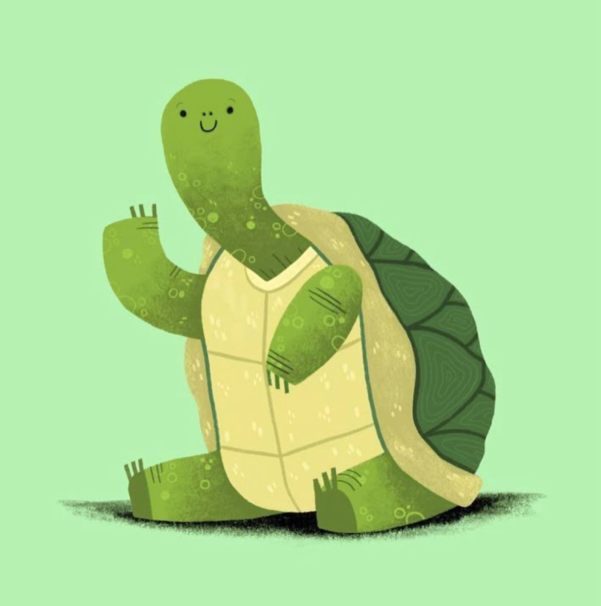 Turtle Meme 6